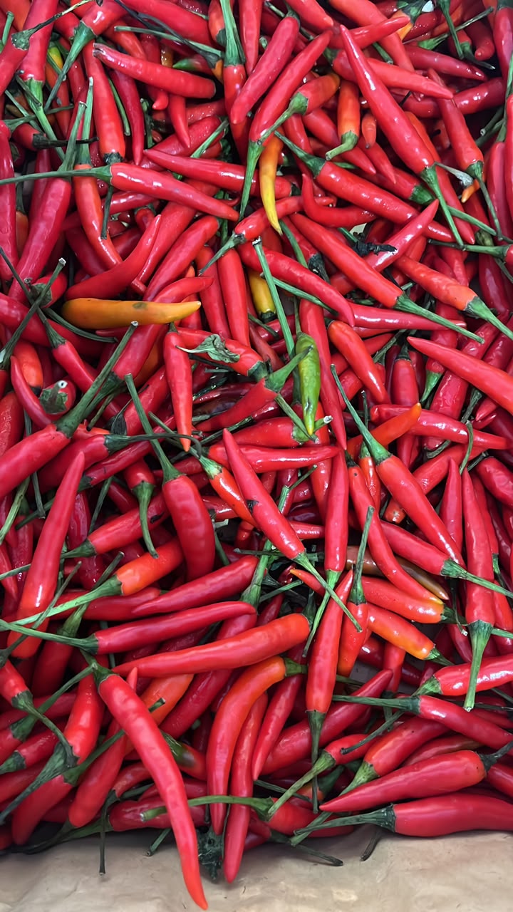 CILI PADI MERAH 1KG