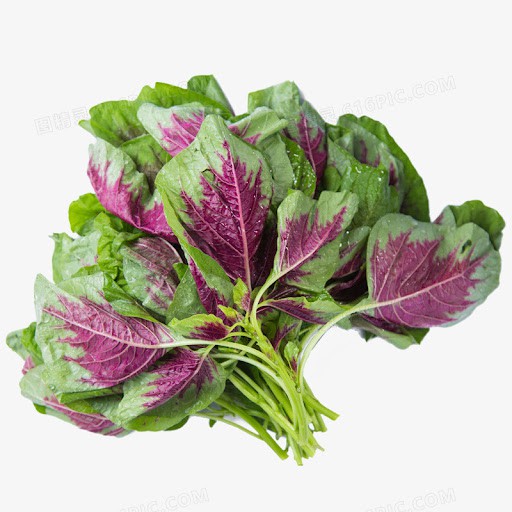 BAYAM HIJAU MERAH 1KG