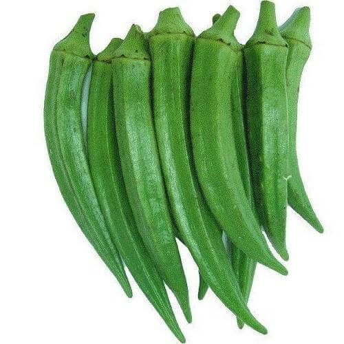 BENDI 1KG
