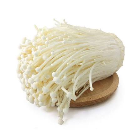 CENDAWAN ENOKI 1 PACK