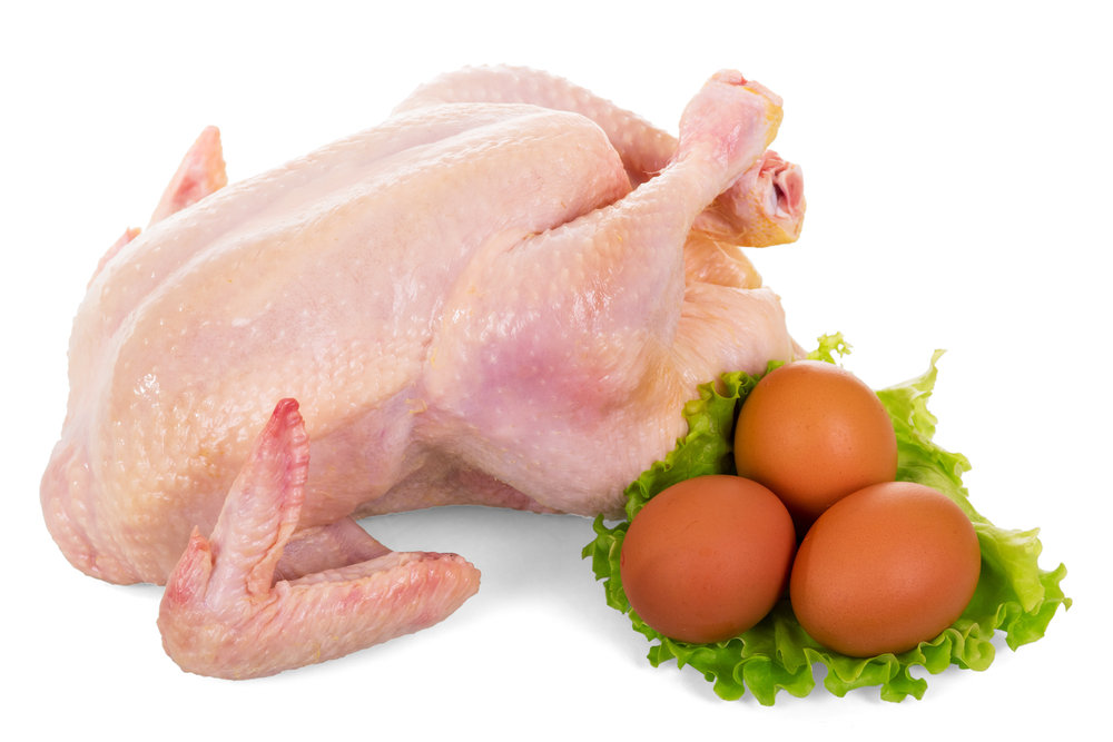 AYAM SEGAR 12 EKOR & TELUR 12 PAPAN - Auction